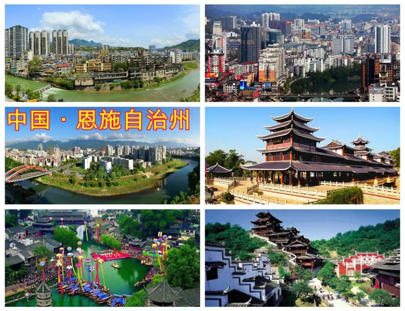 恩施土家族苗族自治州专利申请数(件)